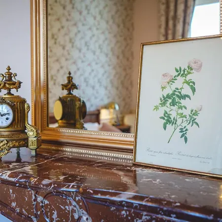 Hotel Chateau La Comtesse De Loire &