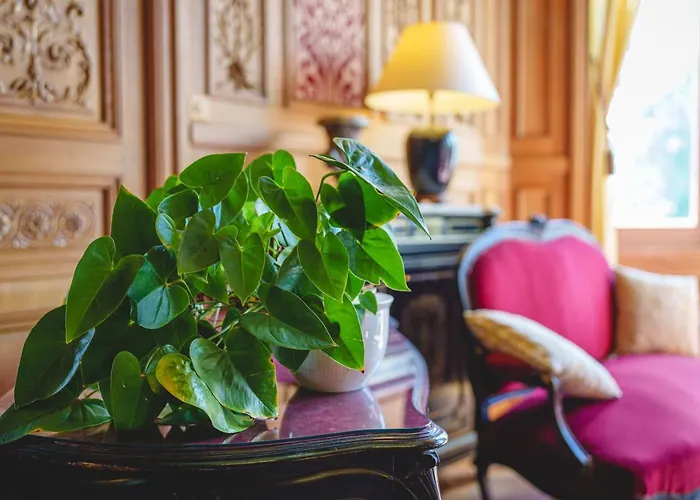 Hotel Château La Comtesse De Loire&spa 4*