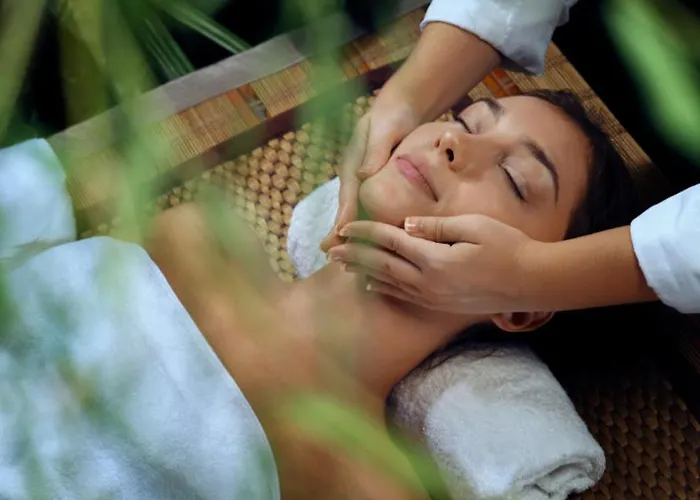 Château La Comtesse De Loire&spa 4*